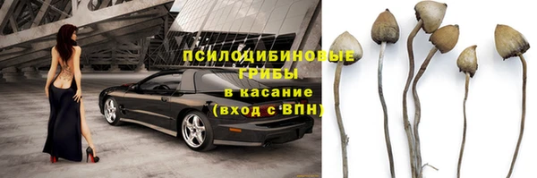 шишки Алексин