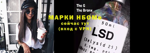 шишки Алексин